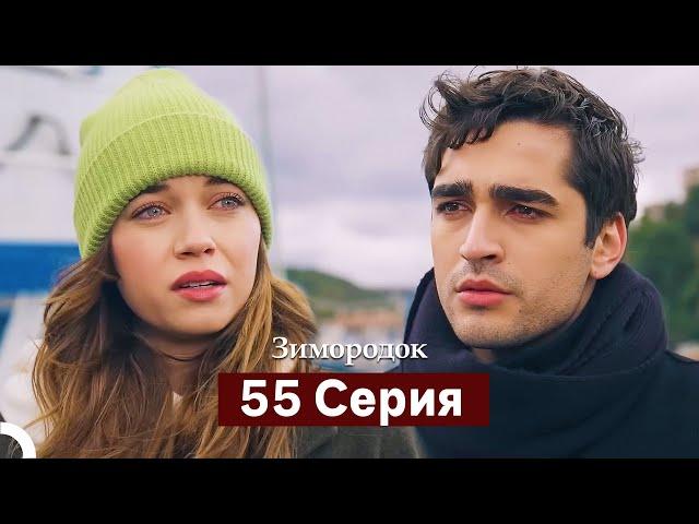 Зимородок 55 Cерия (Русский дубляж)