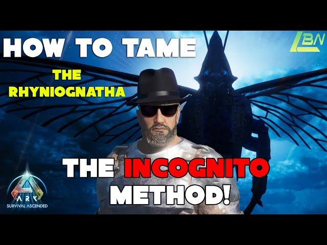 HOW TO TAME THE RHYNIOGNATHA WITH THE INCOGNITO METHOD!