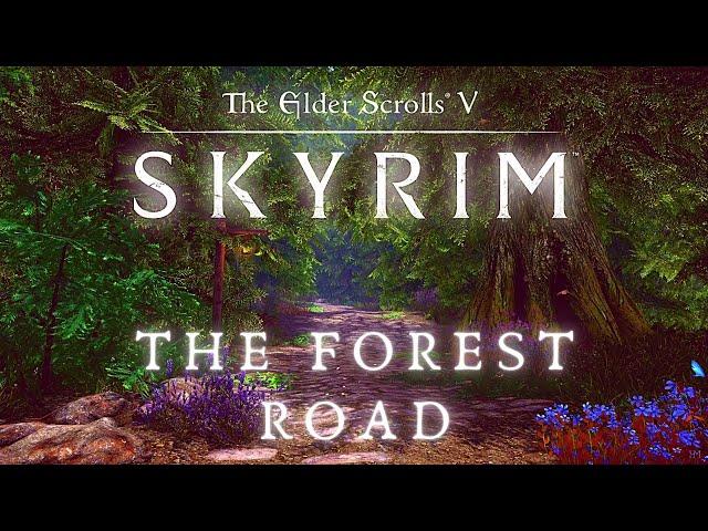 The Forest Road To Rorikstead - Walking Across All of Skyrim p.6 | Skyrim 4K Music & Ambience