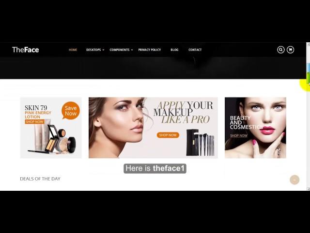 How to install Theface beauty & cosmetics opencart theme