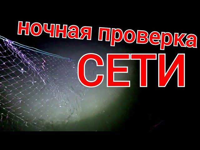 Ловля карася и плотвы на сеть!!! Ночная проверка сети на пруду, рыбалка сеткой!!!