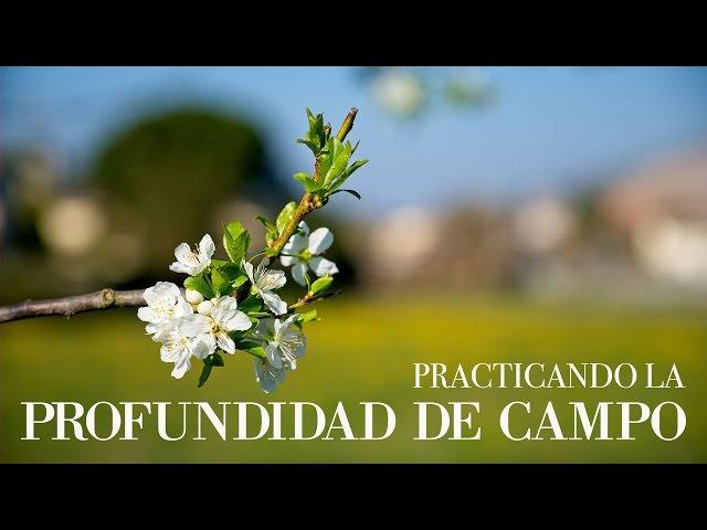 Practicando la Profundidad de Campo