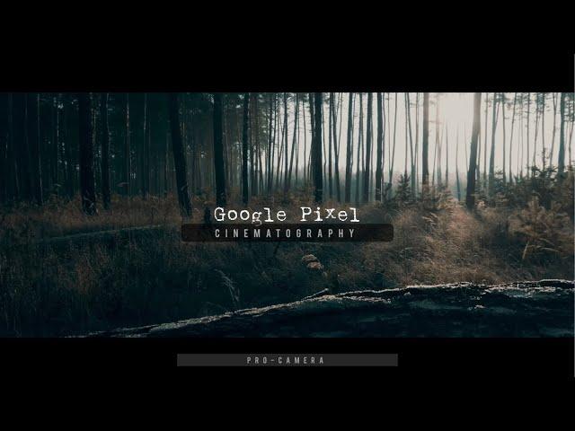 Google Pixel 6a Cinematic 4k | Filmic Pro Camera