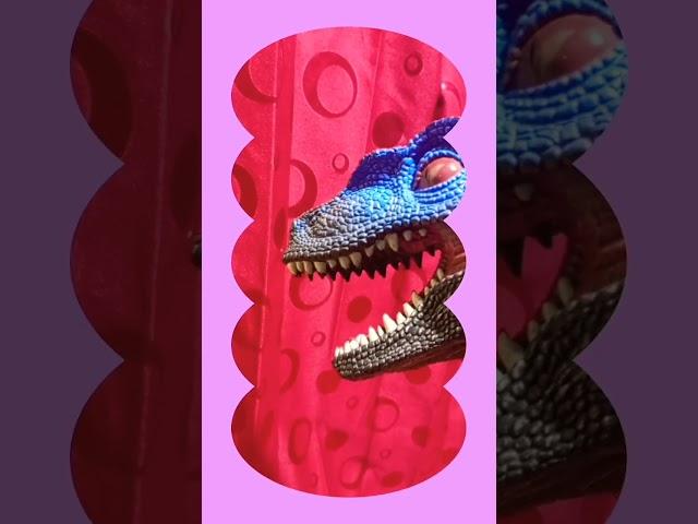 Beatbox  Blue Raptors | Blue Raptor Channel | #beatbox #dinosaurs #cute #funny