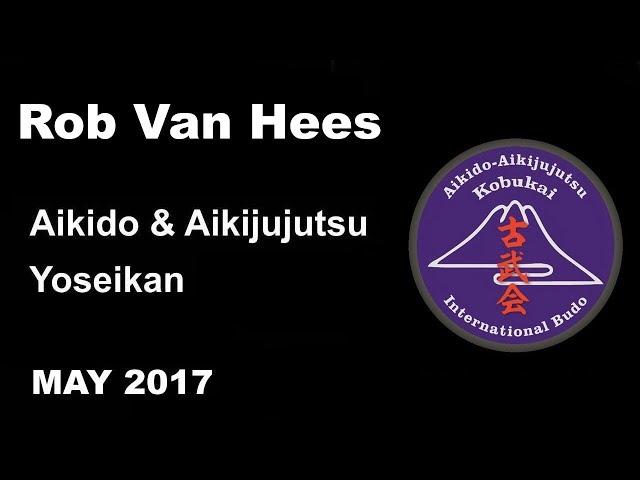 Demonstration 41: Rob Van Hees Aikido & Aikijujutsu Yoseikan may 2017