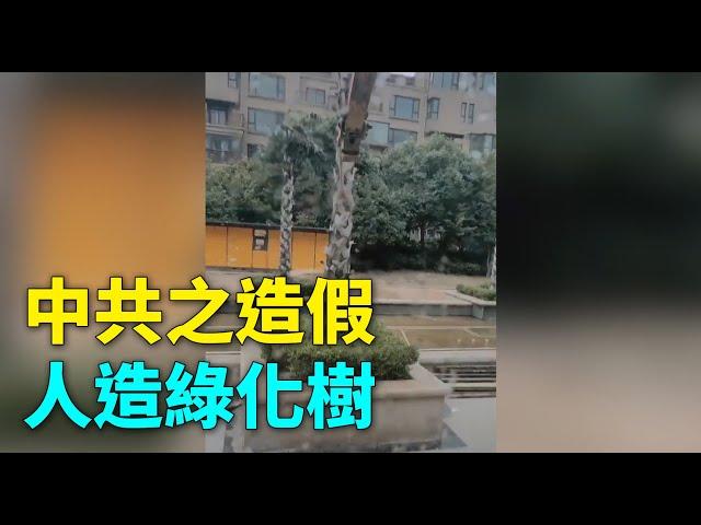 中共之造假 人造綠化樹 #大陸民生 | #大紀元新聞網