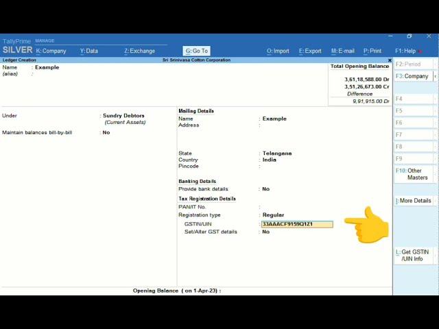 Get GSTIN/UIN information in Tally Prime.