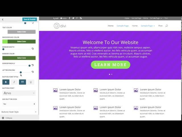 Using The Divi Button Customizer Settings
