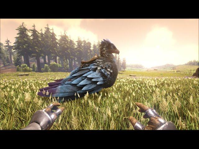 Ark: How to spawn a Argentavis and a saddle for it