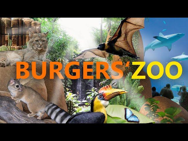 Burgers Zoo Arnheim - Außergewöhnlich und Spektakulär! | Zoo-Eindruck