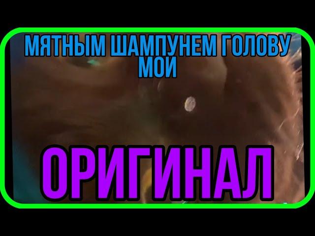 Мятным шампунем голову мой, но писю не тронь Оригинал мема из тик ток