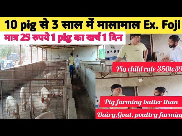 Pig farming से 3 साल में मालामाल Ex Army Foji ने बताया Pig farm से लाखों रूपये महिना कमाने का तरीका।