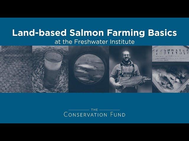 Land-based Salmon Farming Basics