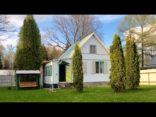 Una casa quinta rusa - la famosa dacha rusa - nos invitaron a pasar