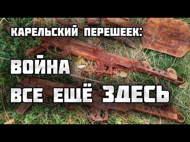 Кто раскидал на болоте оружие?/Раскопки Второй Мировой войны