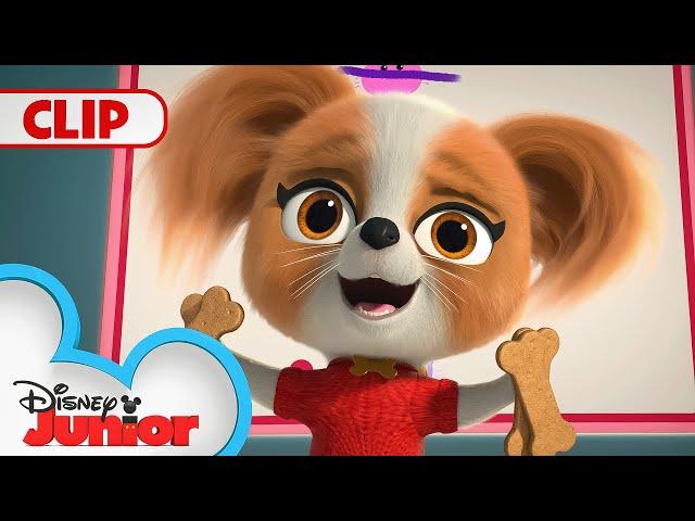 Chef Puppy Paw's Doggie Treats!  | Doggie Treats Only Music Video  | SuperKitties | @disneyjunior​