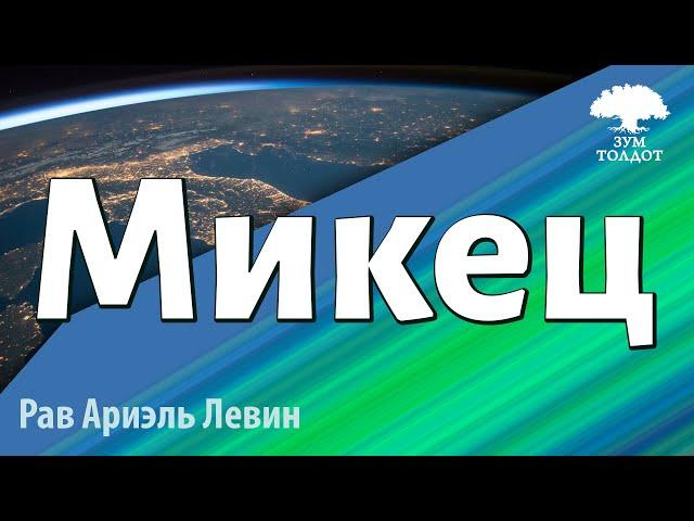 Микец. Рав Ариэль Левин