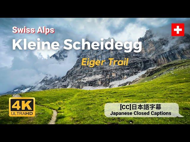 Swiss Alps | Day Hike: Eiger Trail, Kleine Scheidegg to Alpiglen along Eiger North Wall