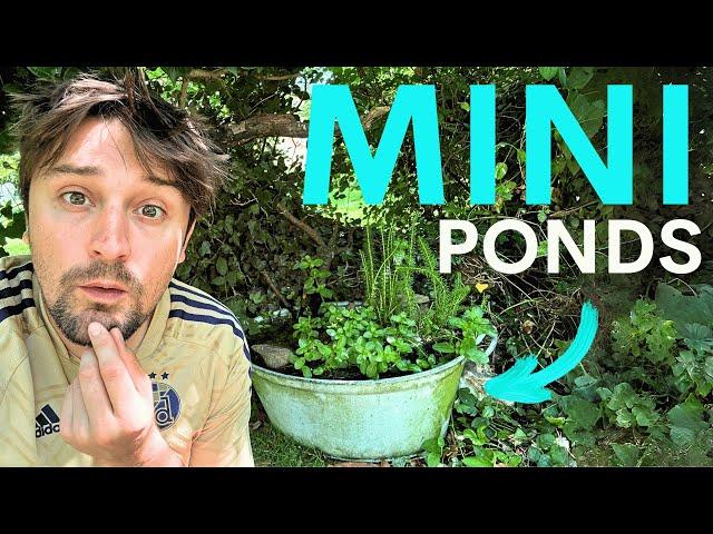 What if we created 23 Million Mini Ponds?