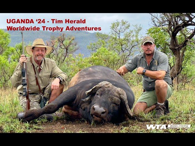 Uganda Safari Hunt 2024 8 Buffalo - 2 Scrum Caps with Tim Herald and Worldwide Trophy Adventures