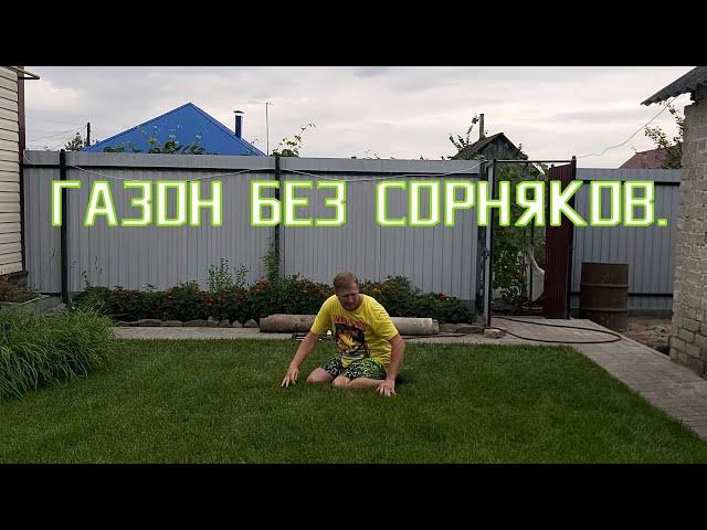 Обработка газона  от сорняков | Уход за газоном