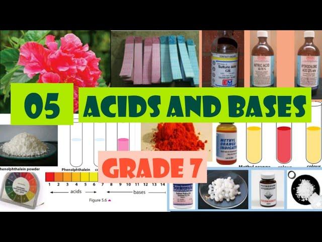 Acid and bases| Grade 7 |science| english medium| unit 5