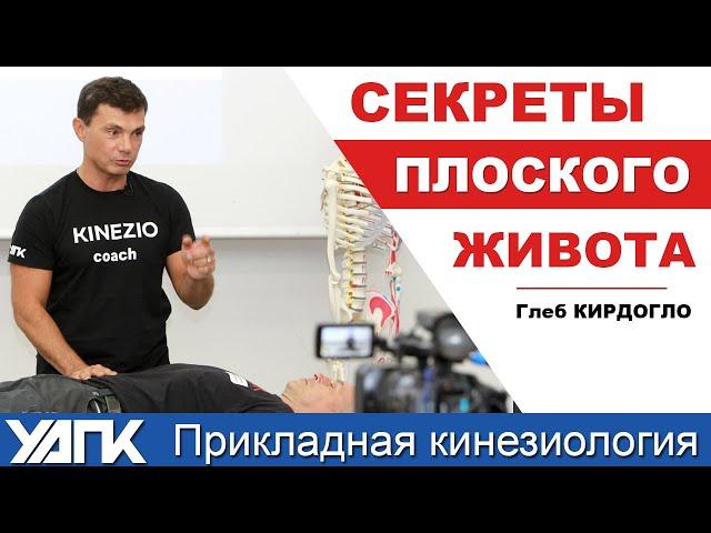 Как кинезиологи тестируют мышцы живота  (Кирдогло Г.К.)