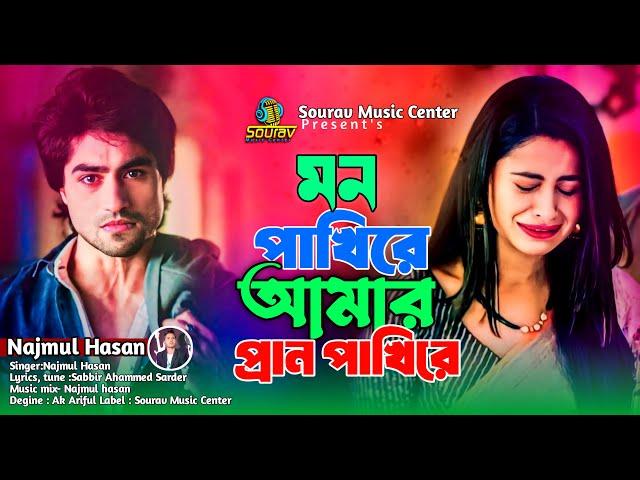 মনে কষ্ট থাকলে গানটি শুনুন।মন পাখিরে আমার ।  Mon Pakhire Amar Pran Pakhire । Najmul Hasan ।