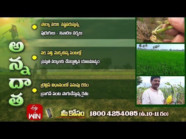 5th September 2024 | Annadata | అన్నదాత | Full Episode | ETV Telugu