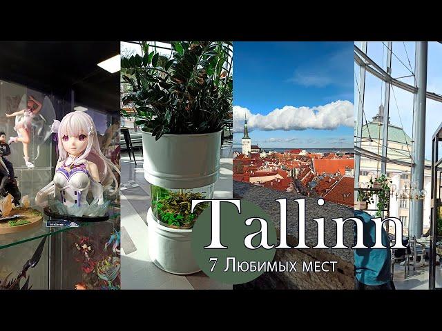 Таллин, Эстония. Куда пойти, где поесть?... кафе, старый город, книжный, аниме, роботы