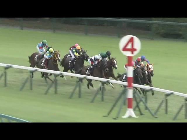 2024.09.29 Saffron Sho (JPN) - Kurino Mei