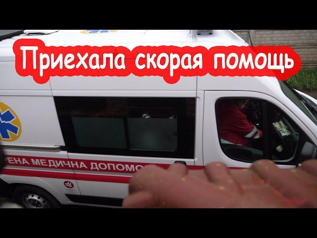 VLOG Упала