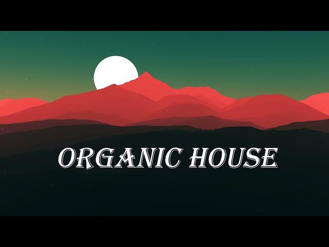 Melodic / Organic House