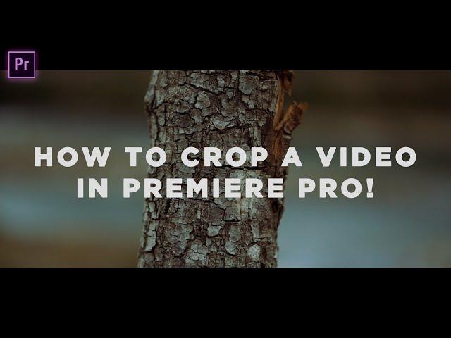 HOW TO CROP A VIDEO/GET CINEMATIC LOOK IN PREMIERE PRO 2021!