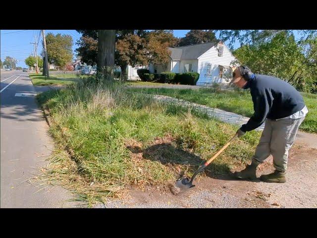 Transform OVERGROWN Lawn, Neighbors GETTING MICE!