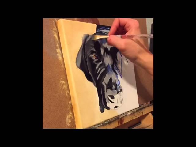 Time Lapse painting of "Otis" the black lab