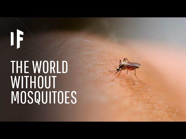 What If We Killed All Mosquitoes?