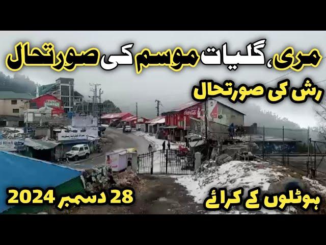 Murree snowfall today | murree nathiagali snowfall | #murree snow season 2024 | murree live today