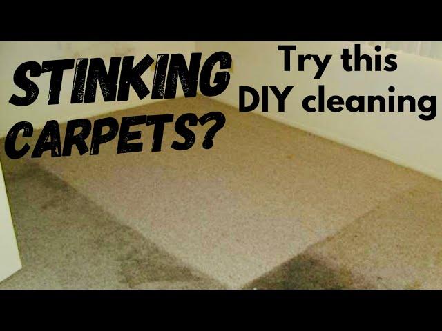 DIY Carpet cleaning | Disinfect your carpet| Baking soda+salt