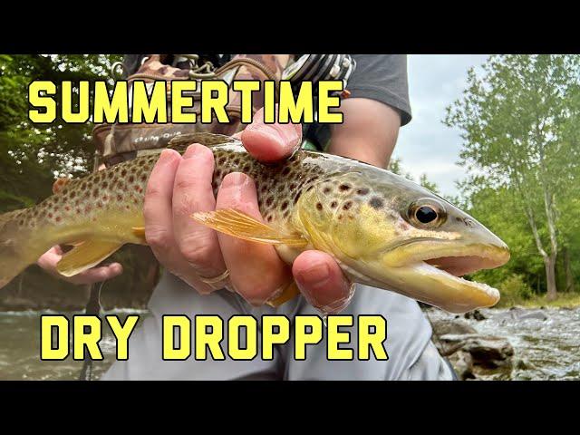 Successful Angler THE DRY DROPPER RIG | Fly Fishing for Wild Brown Trout