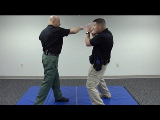 Punch Defense: Defensive Tactics Technique