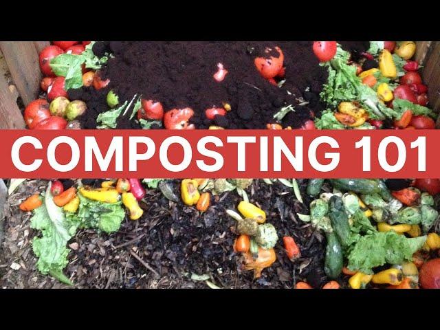 Learn to Compost in Less Than 5 Minutes