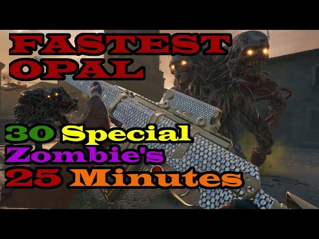 Fastest Opal Camo Method Under 25 Minutes