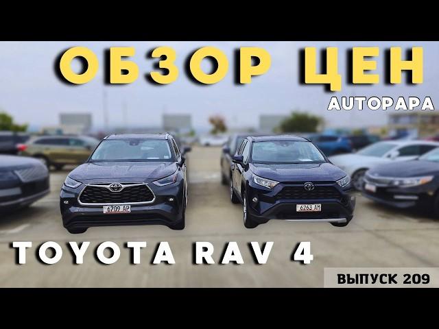 Ищем RAV-4 в Грузии! Обзор актуальных цен Автопапа.Мастер Вадя.#mastervadya #autopapa #toyota #rav4