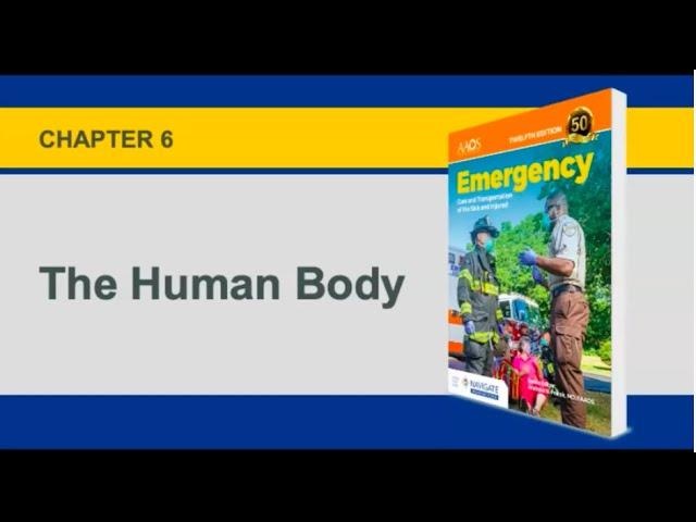 Chapter 6, The Human Body