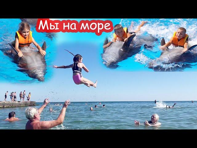 VLOG Плаваем с дельфинами. Купаемся в море