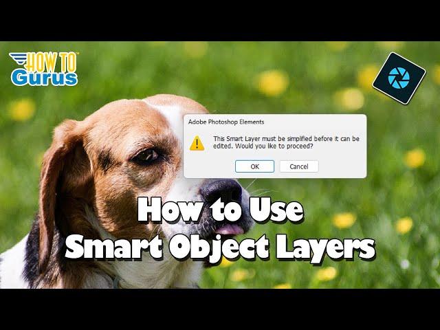 Photoshop Elements Tutorials for Beginners How to Use Smart Object Layers