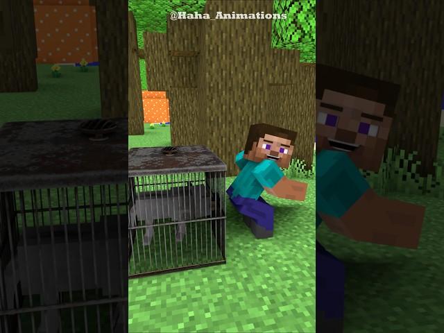 Steve And The Wolf In The Woods #minecraftanimation