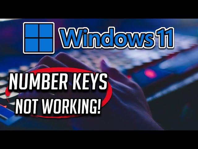 Number Keys Not Working In Windows 11 FIX