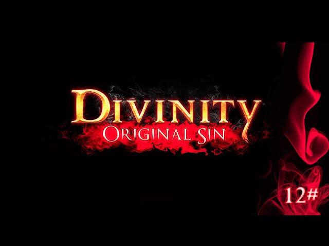 Divinity: Original Sin - Лес Лукуллы  12# (КооП)